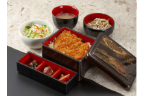 【名古屋駅発】*日帰り昼食付*『高遠小彼岸桜』2